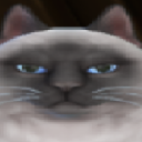 avatar ⛧ - Squeacky - ⛧