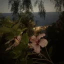 wtx.88