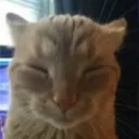 beretaxz