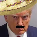 illegal_donald