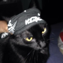 Discord Avatar