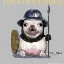thedoctor2643