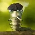 alecksandr