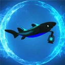 lantern___shark