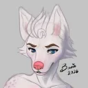 pawligonvr