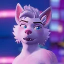 pawligonvr