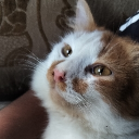 avatar TiredMika(Casual)