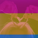 avatar Leo💓💛💙