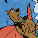 avatar ﹕ 🦴 colby / canine﹒ 𐂯