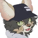 twelveofcats
