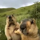 Аватар bober0002