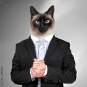 mr.hmrius