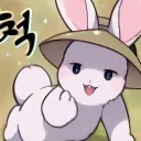momonga8899 avatar