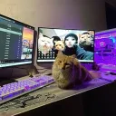 eeva66