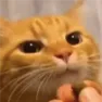 theresahunter69