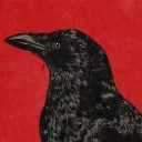 crowsmodeus