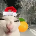 Аватар atoront