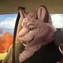 lucci