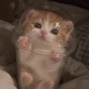 iluka_01