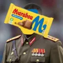swedishmarabou