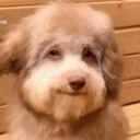jerome_waffles