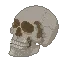 kotowasiy