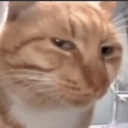 avatar starwaringdude