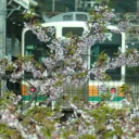 takushiyotsuto