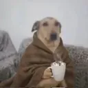 grasdescuisses_