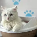 anonnymous