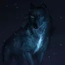 nightwolf20256