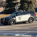 whydotreestalk's Avatar