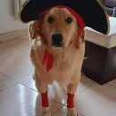 capibarasensei_xd avatar