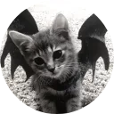 avatar かたりないんざでい