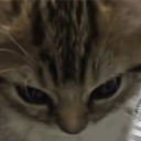 avatar かたりないんざでい