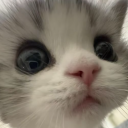 avatar かたりないんざでい