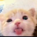 avatar かたりないんざでい