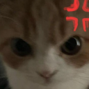 avatar かたりないんざでい