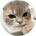 avatar かたりないんざでい