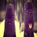 cooolkidd