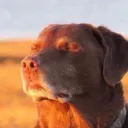 0270802607