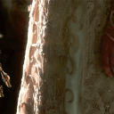 avatar ! ᴀʟ ᴍᴏɴᴀ ʟɪsᴀ