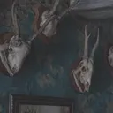 deuxcerfsquimesuivent