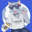 neko_81