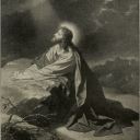 avatar wstewazneopaznrdt