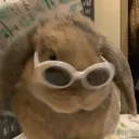 jonas