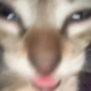 avatar 𝓜𝓻