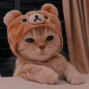 meowchan12