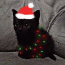 avatar Levi Martinez<𝟑