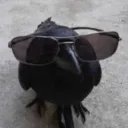 Аватар diamond6669306